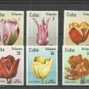 1982. - Kuba - tulipán sor -MNH/** - Cuba - virág