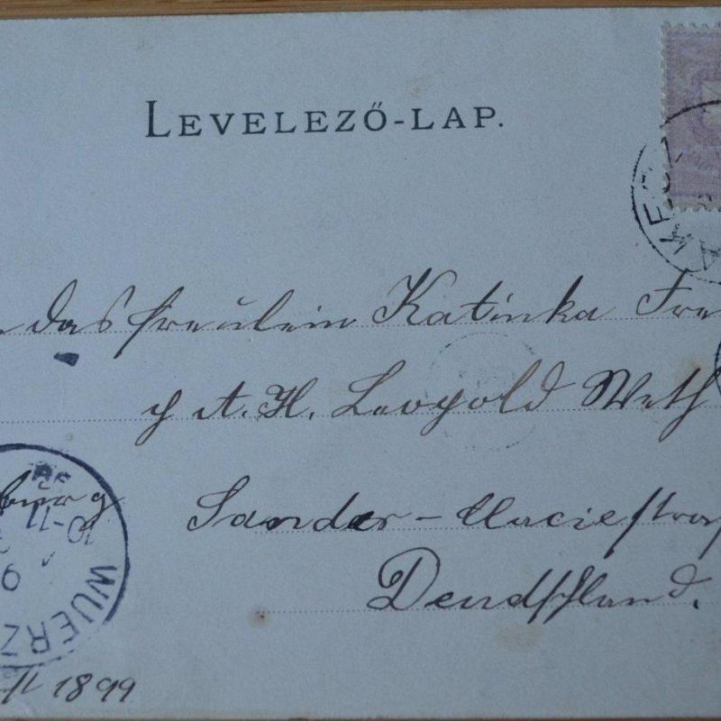 1899.- Budakeszi - képeslap - Virágvölgy