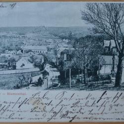 1899.- Budakeszi - képeslap - Virágvölgy