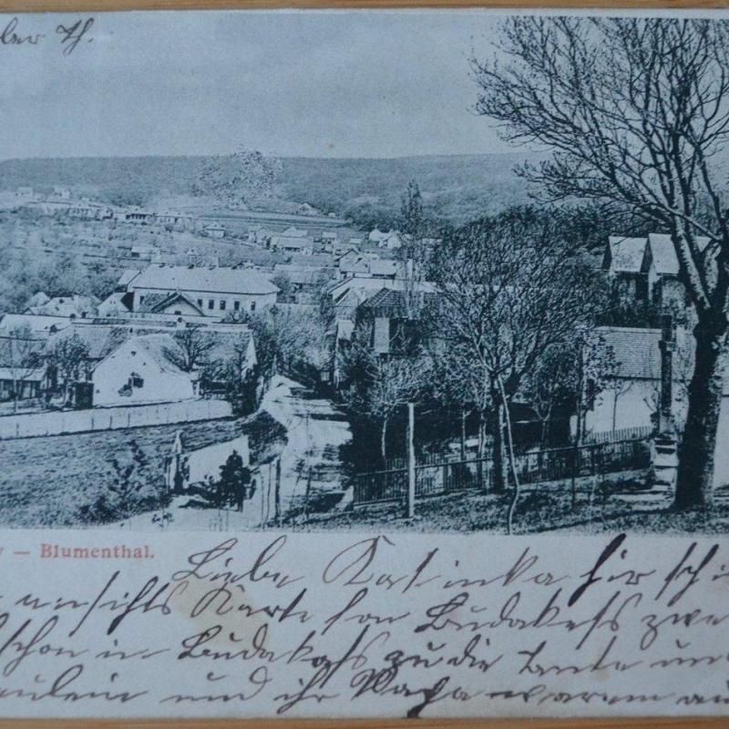 1899.- Budakeszi - képeslap - Virágvölgy