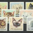 1968.- Magyar - MNH/** - Cicafajták sor - Macska