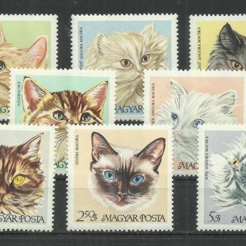 1968.- Magyar - MNH/** - Cicafajták sor - Macska