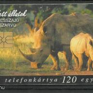 1998.- MATÁV - Magyar Telefonkártya - Védett állatok - orrszarvú