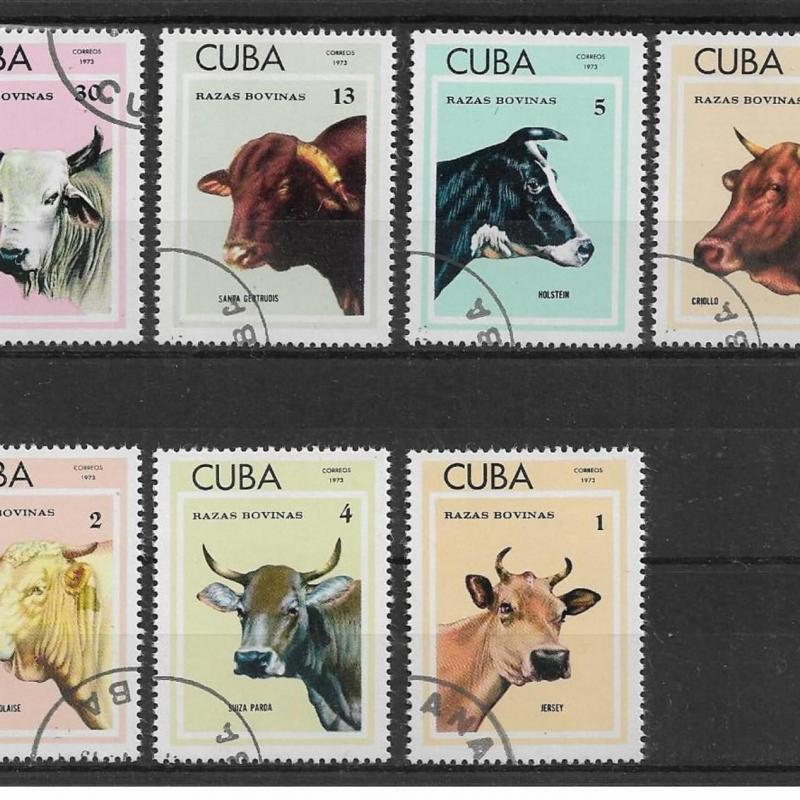 1973.- Kuba -Cuba -MNH/**- Szarvasmarha sor