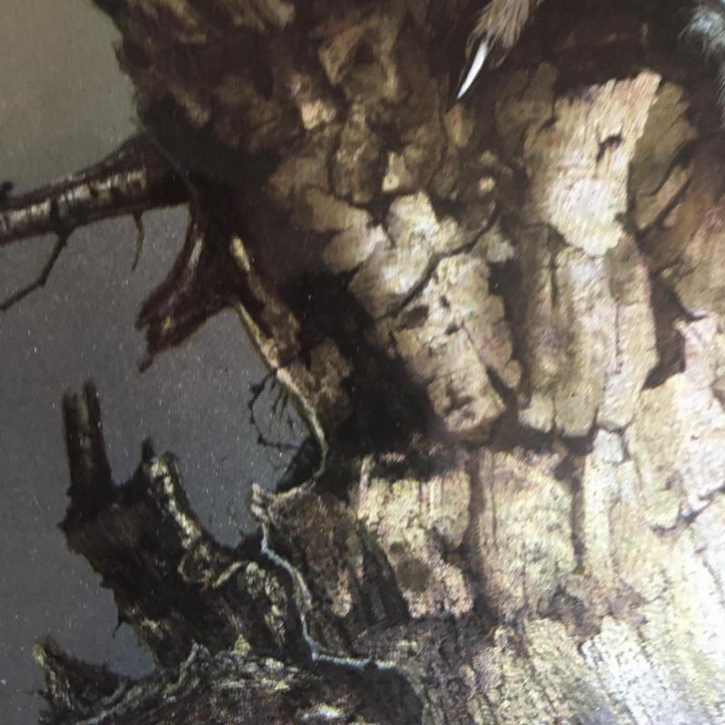 1970.- Andrey North - Bagoly - maratott  fémfólia