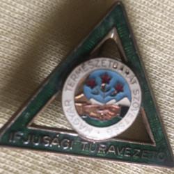 Ifjúsági túravezető - jelvény -Magyar természetbarát