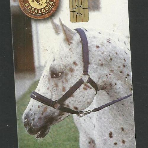 2002.- MATÁV - Magyar Telefonkártya - lovak -Appaloosa