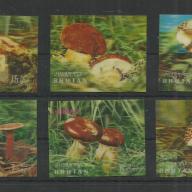 1973.- Bhután - MNH/** -3D - Gomba sor - komplett
