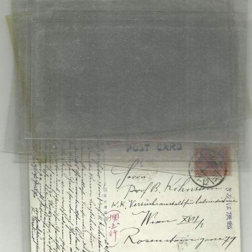 10.-db- képeslaptok-zokni vagy nylon - tasak-tartó