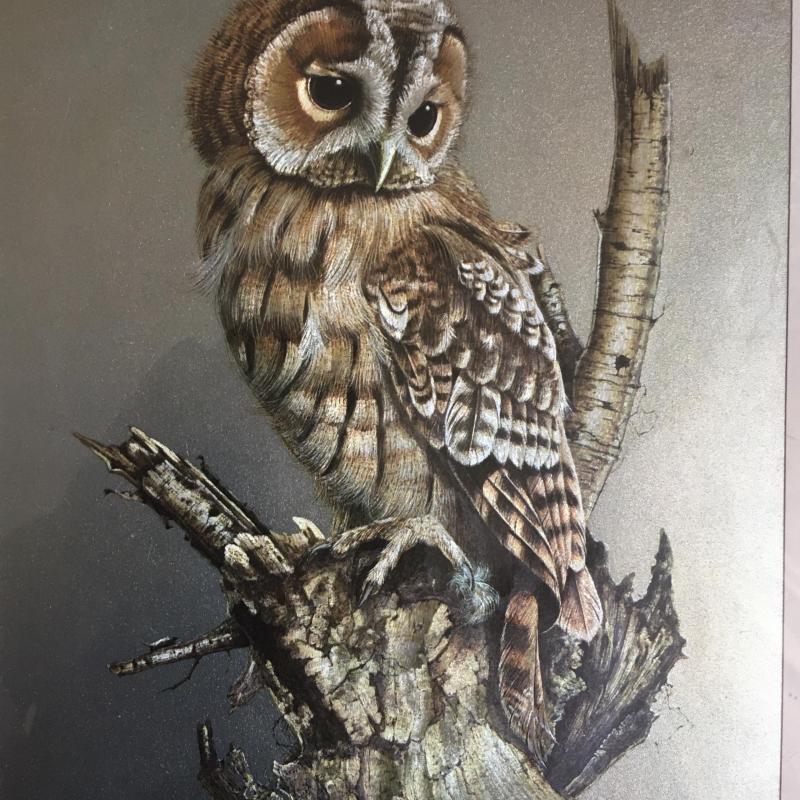 1970.- Andrey North - Bagoly - maratott  fémfólia