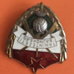 Tanintézeti bajnokság - foci - jelvény