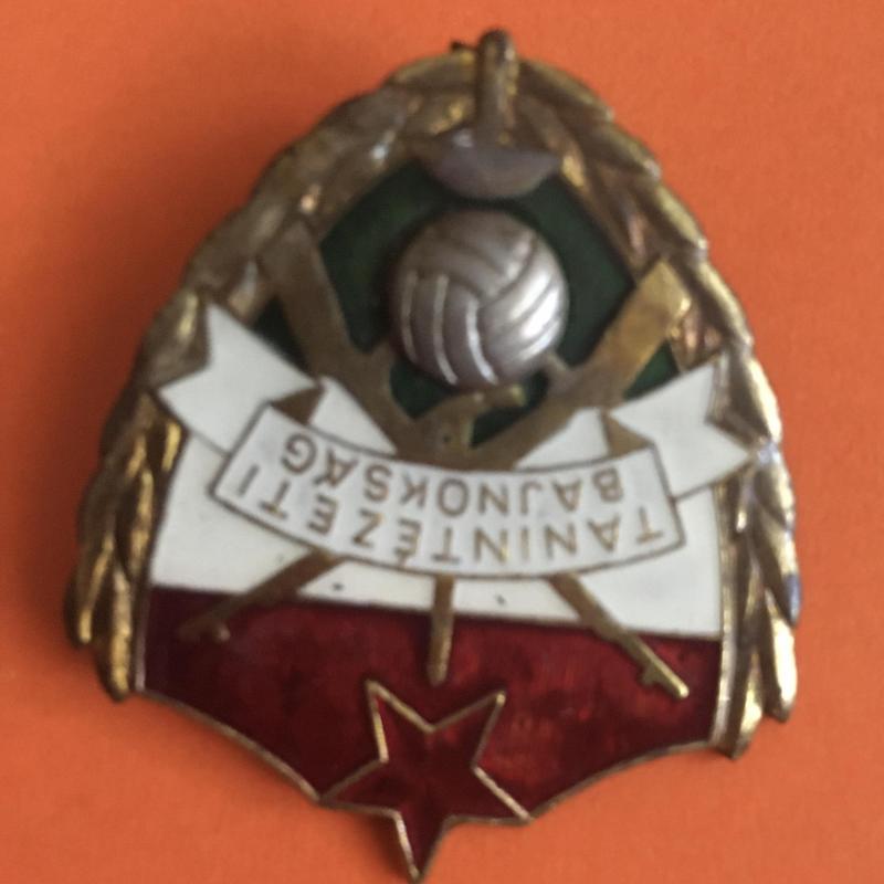 Tanintézeti bajnokság - foci - jelvény