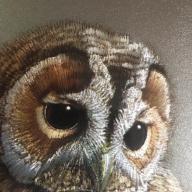 1970.- Andrey North - Bagoly - maratott  fémfólia