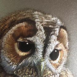 1970.- Andrey North - Bagoly - maratott  fémfólia