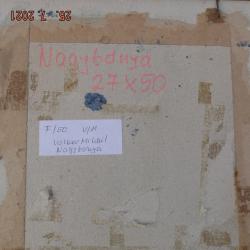 Mihail Volkov:Nagybánya - olajkarton