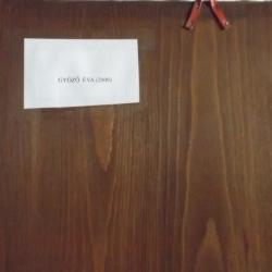 2009.- Győző Éva:Ikon -39 cm x 50 cm x 2 cm - vastagon aranyozott