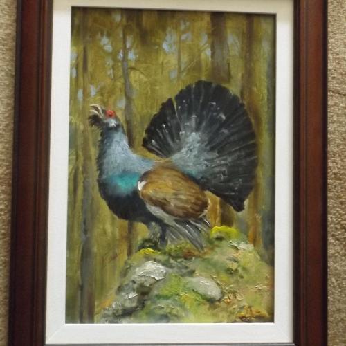 Szántó Lukács: Siketfajd olajkarton -20 X30 cm