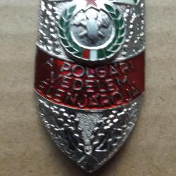 Polgár védelem élenjárója - kitüntetés