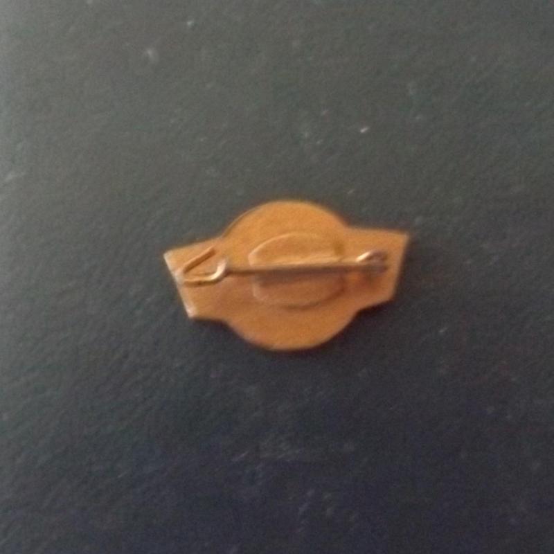 Simson motor - jelvény , zománcozott kitűző , 2,1 cm x 1,5 cm + tű
