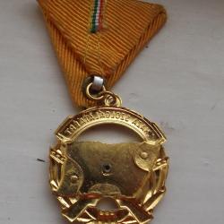 A Haza Szolgálatáért Érdemérem arany fokozata
