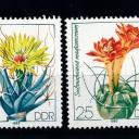 1983.- DDR - NDK - Német - kaktusz sor MNH/**