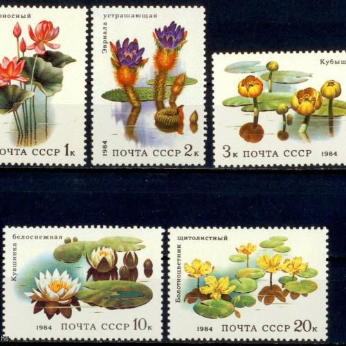 1984.-CCCP - Vízi virágok sor - MNH/**