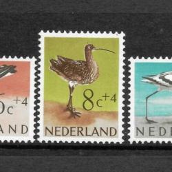 1961.- Hollandia - MNH/** - madár - sor