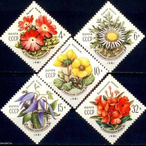 1981.-CCCP - Kárpátok virágai -  virágok sor - MNH/**