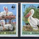 1984.- Románia - Pelikán sor - MNH/** - gödény