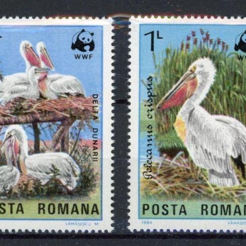 1984.- Románia - Pelikán sor - MNH/** - gödény