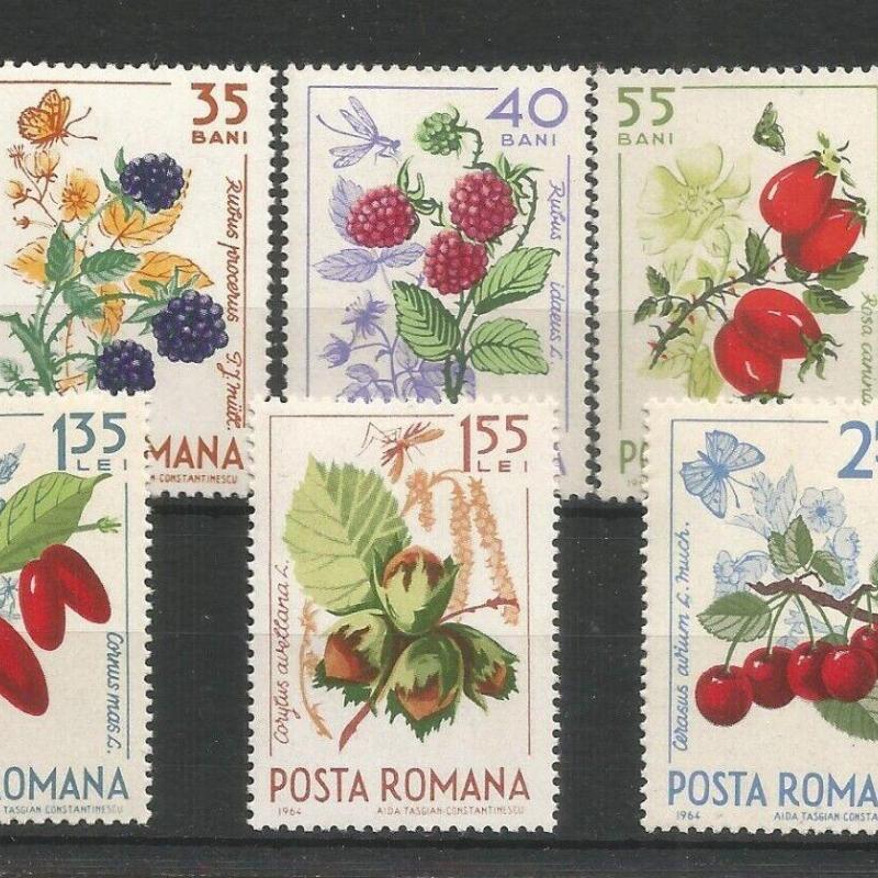 1964.- Románia - Erdei gyümölcs sor- MNH/**