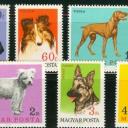 1967.-  Kutyafajták sor... MNH/**