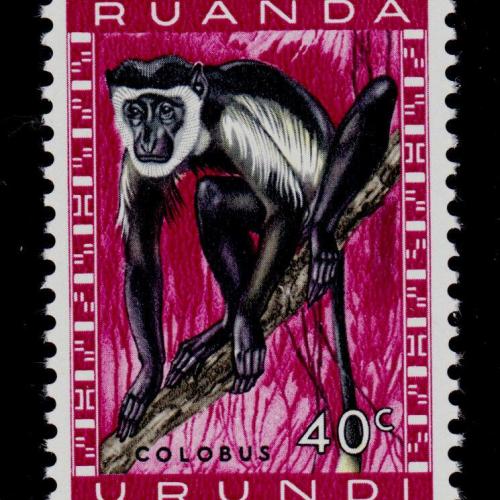 1959.- Ruanda -Urundi -MNH/** - Majom
