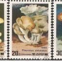 1985.- Korea - MNH/** - gomba sor - pecsételt