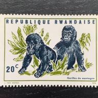 1970.- Ruanda -- MNH/** - Gorillabébik