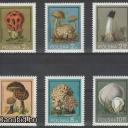 1980.- Lengyelország - MNH/** - gombák sor